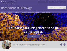 Tablet Screenshot of pathology.northwestern.edu