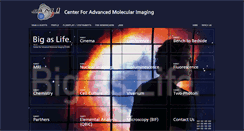 Desktop Screenshot of cami.northwestern.edu