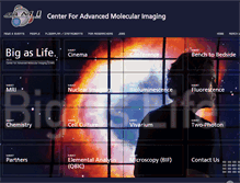 Tablet Screenshot of cami.northwestern.edu
